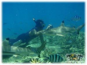 Diving